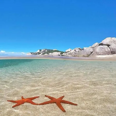 Da Gianni E Franca Arzachena